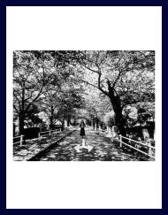 Japan 10